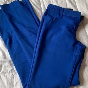 Express Columnist Pant